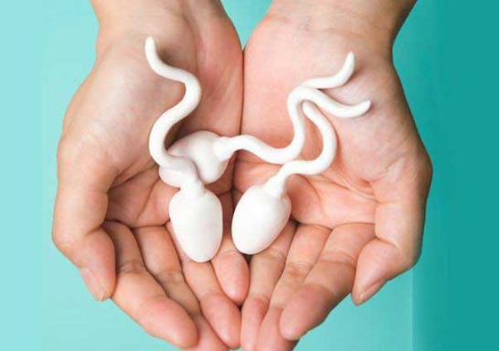 Cara Membedakan Sperma